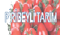 Piribeyli Tarım / Antalya