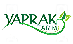 Yaprak Tarım / Antalya